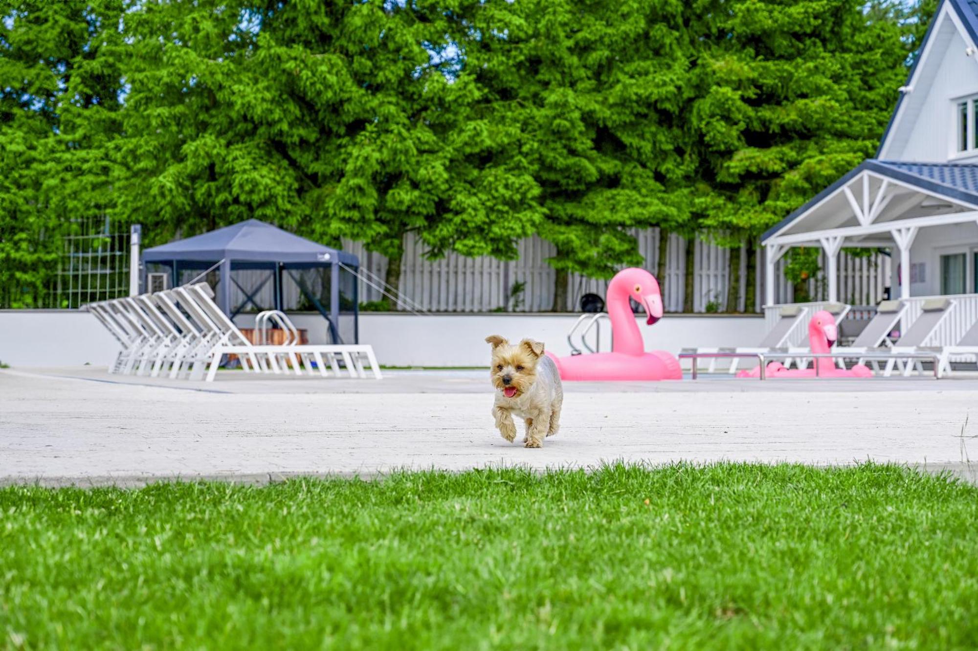 Resort Golf Kolczewo Exterior photo